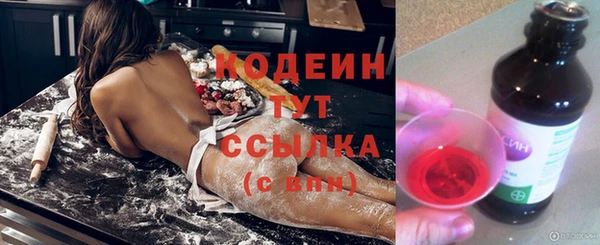 индика Навашино
