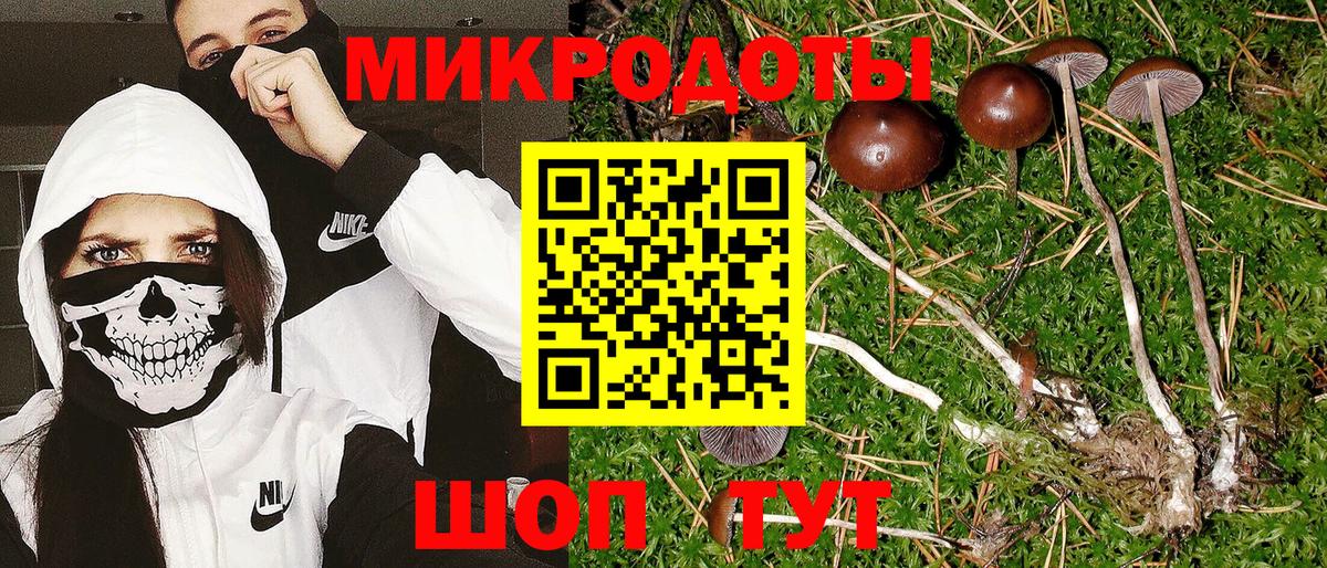 Псилоцибиновые грибы Psilocybine cubensis  Вход с VPN  Галлюциногенные грибы MAGIC MUSHROOMS  Копейск 