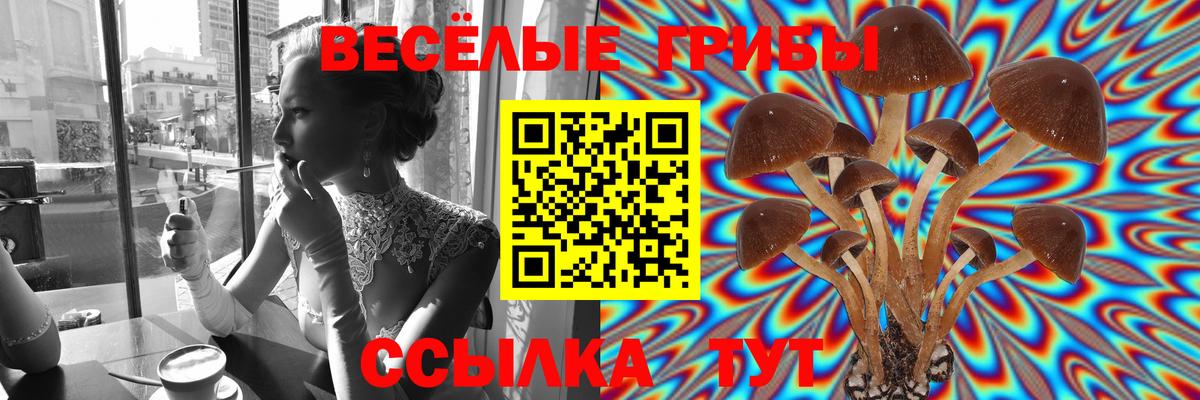 Галлюциногенные грибы мицелий Копейск